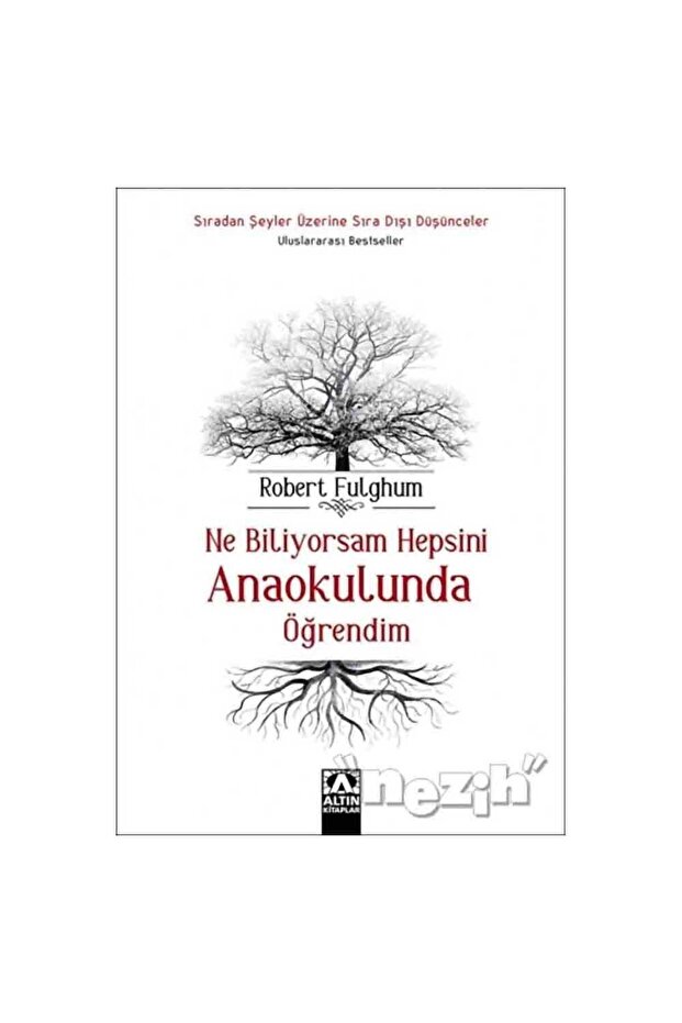 Ne Biliyorsam Hepsini Anaokulunda Öğrendim