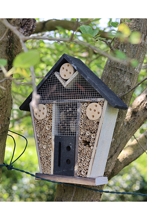 Verde Böcek Oteli - 2