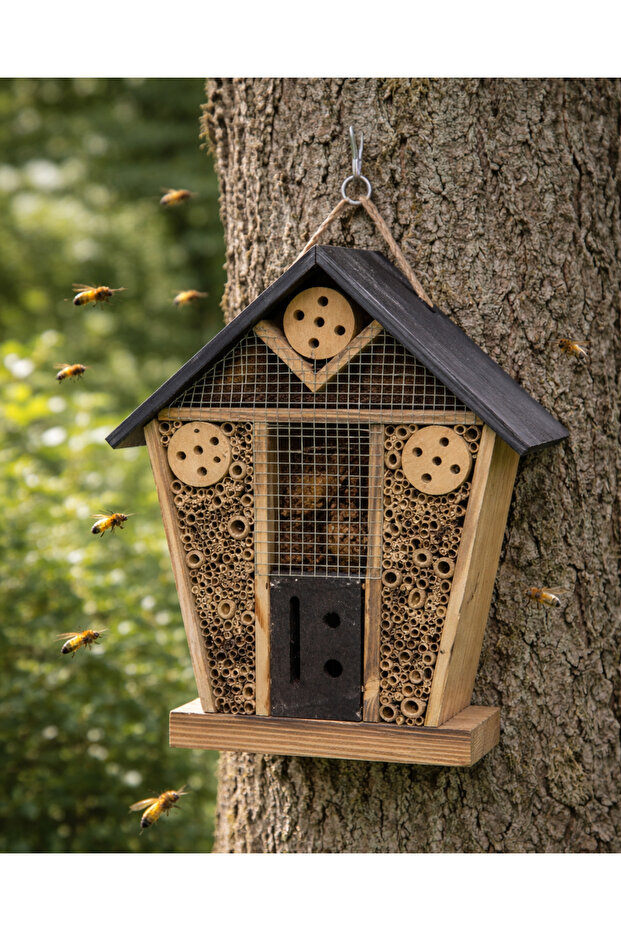 Verde Böcek Oteli - 3