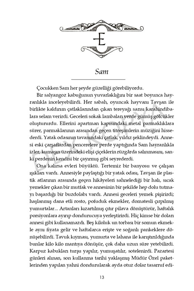 Kızıl Şehir (Ciltli) - 4