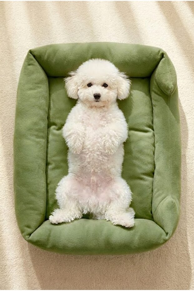 Soho Ultra Yumuşak Kedi ve Köpek Yatağı Elyaf Dolgu - 3