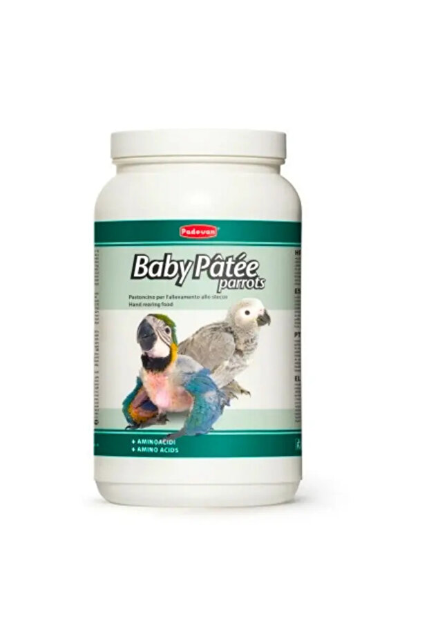 Baby Patee Parrots[Weight - 900g]