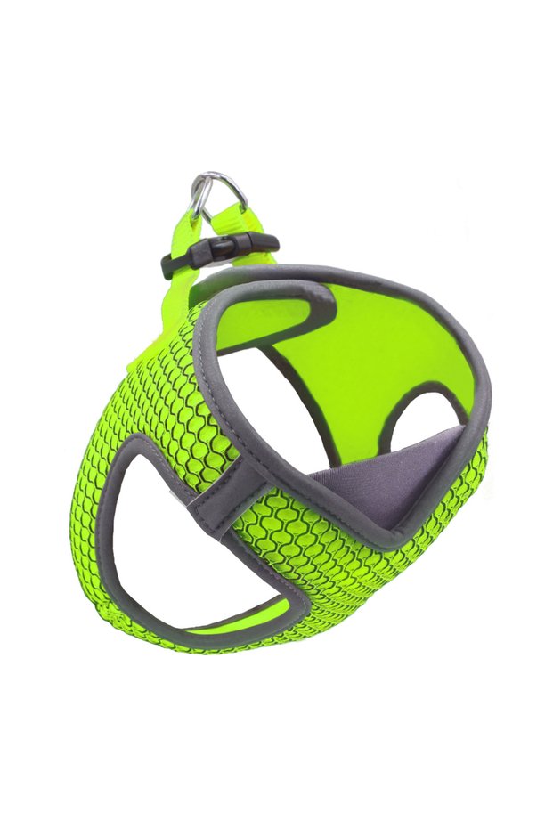 Athletica QUICK V Mesh Harnes (DCA308)[Color - Green, Size - S]