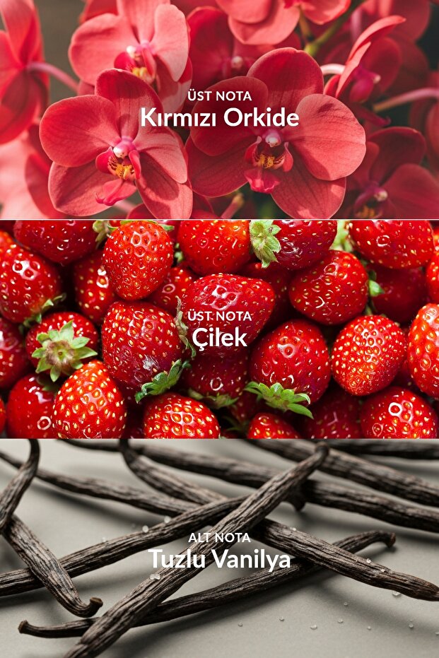 Attraction Instinct Kadın EDP 50ml - 3