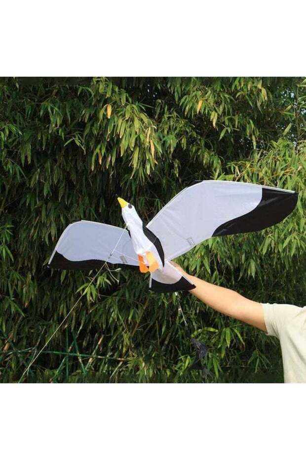 طائرة ورقية ثلاثية الأبعاد على شكل نورس - 7