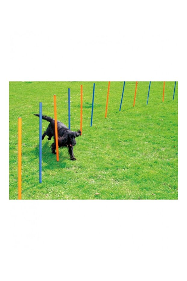 Pawpals Dog Training Poles 117x12x12Cm-12pcs