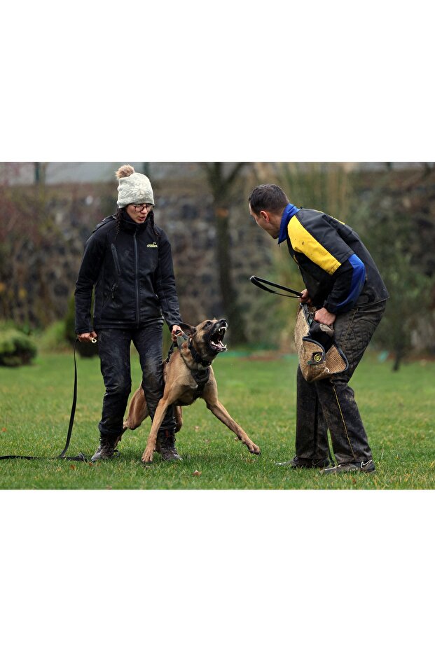 Handmade-Tactical Protection-Hunting-K9 Chest Harness. Write Us the Dog's Measurements as Answer to the Question