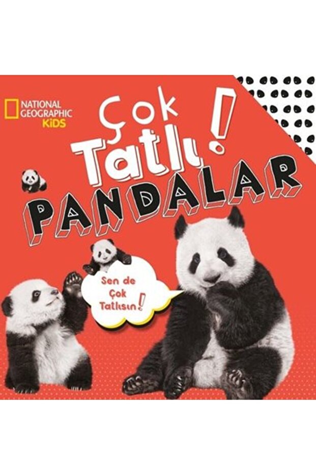 Çok Tatlı! Pandalar
