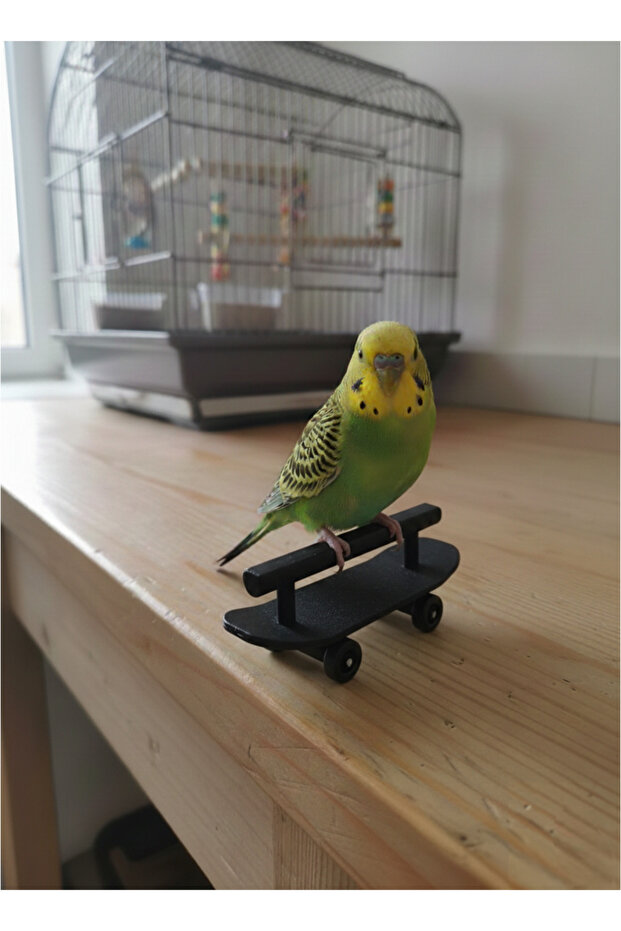 Parakeet Perch with Skateboard (Black / Gray)