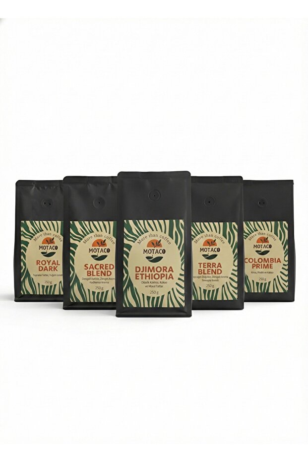 TANIŞMA PAKETİ - 1