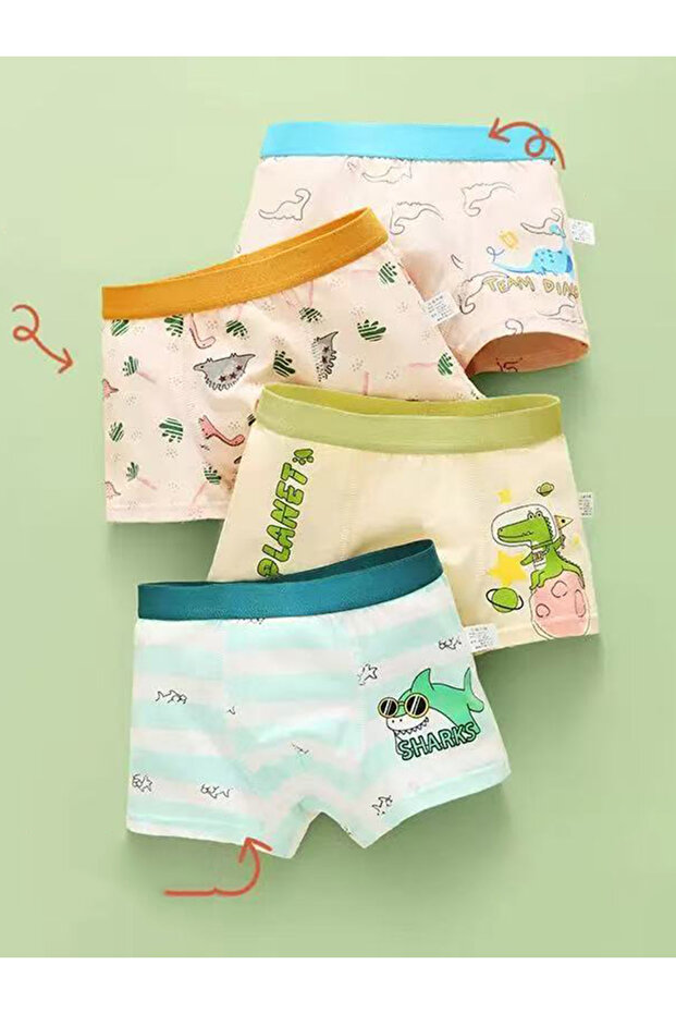 Pack of 4 - Boys Printed Cotton Boxers