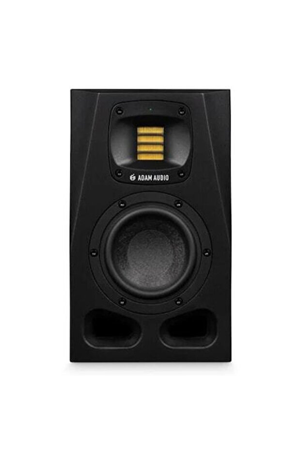 Monitor de studio A4V - 1