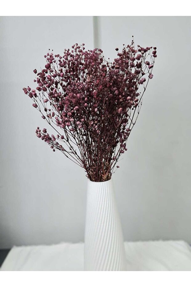 Cipso Çiçeği Bordo - 3