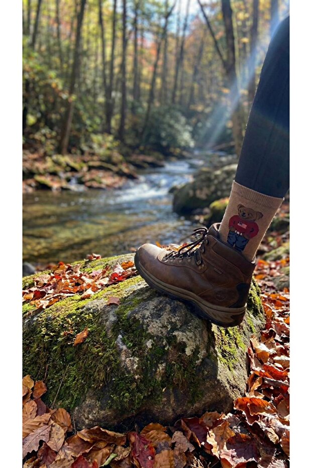 Teddy Bear Teddy Bear Patterned Socks - 1