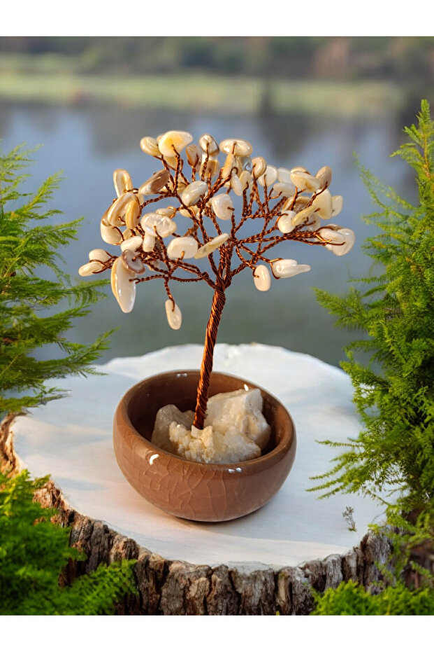 Dogal taş ağaç - 3