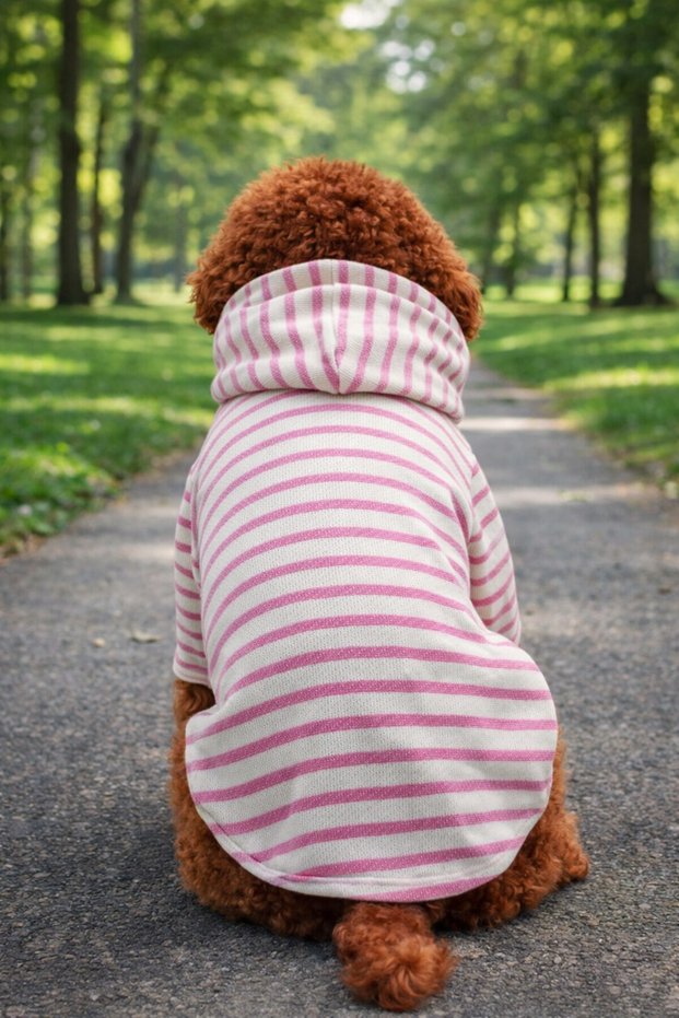Pink Striped Dog Sweatshirt | Hooded, Winter Dog Outfit