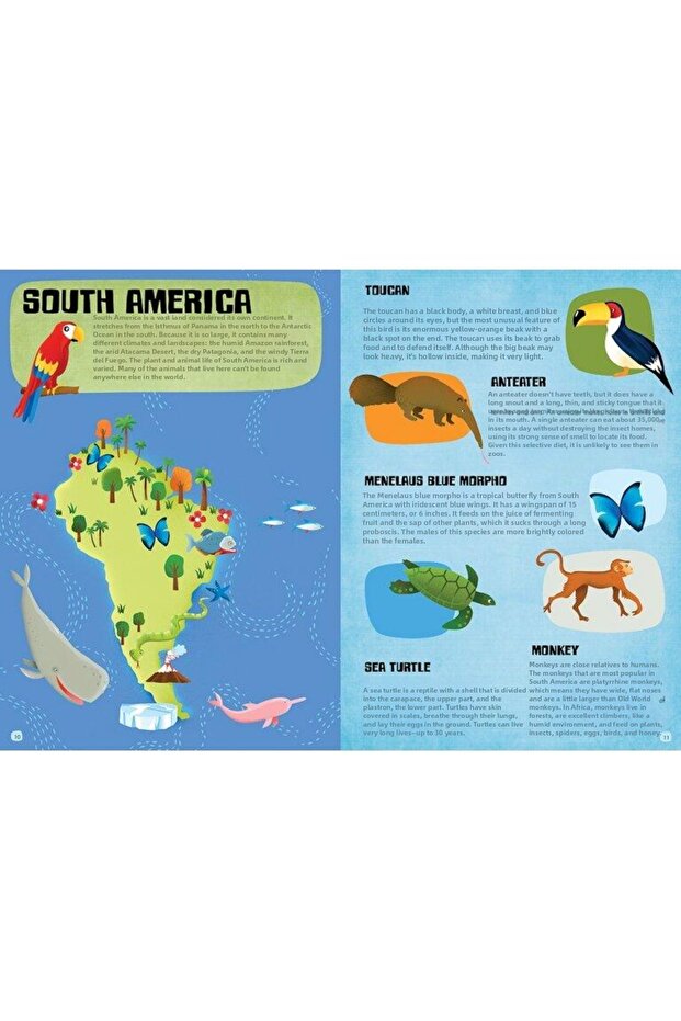 اكتشف واكتشف حيوانات لوميا - 4