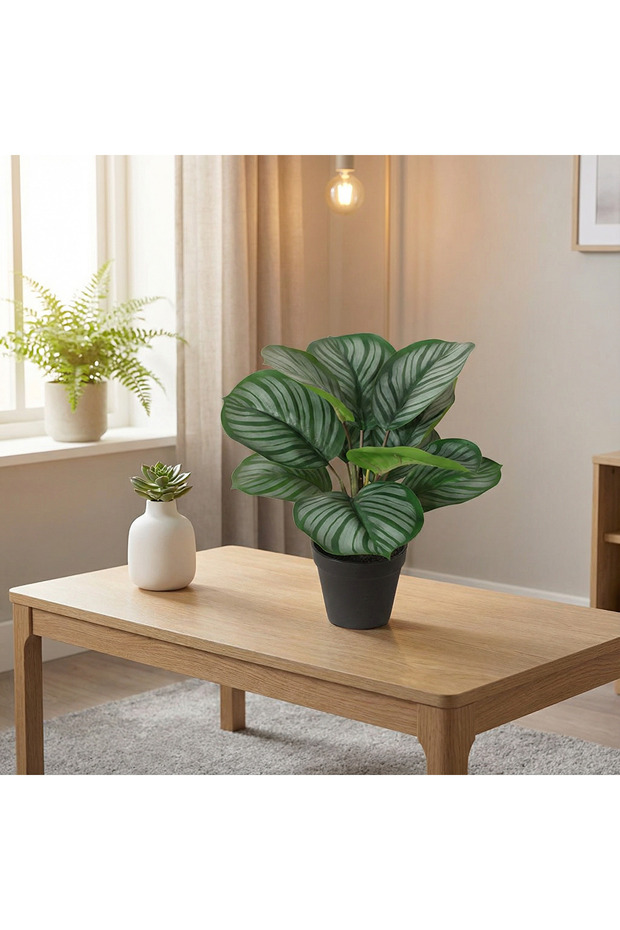 Yapay Bitki Maranta - 2