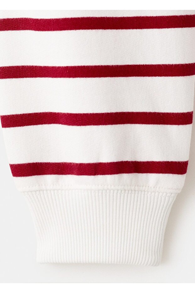 Çizgili kapüşonlu sweatshirt - 4