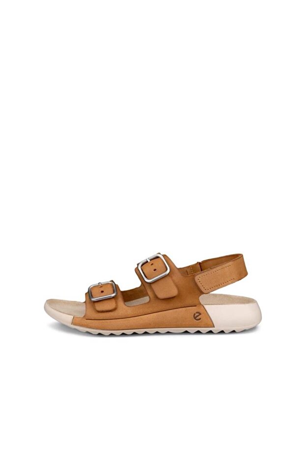 Aslan'daki Cozmo - 2