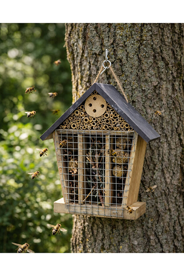 Amber Böcek Oteli - 2