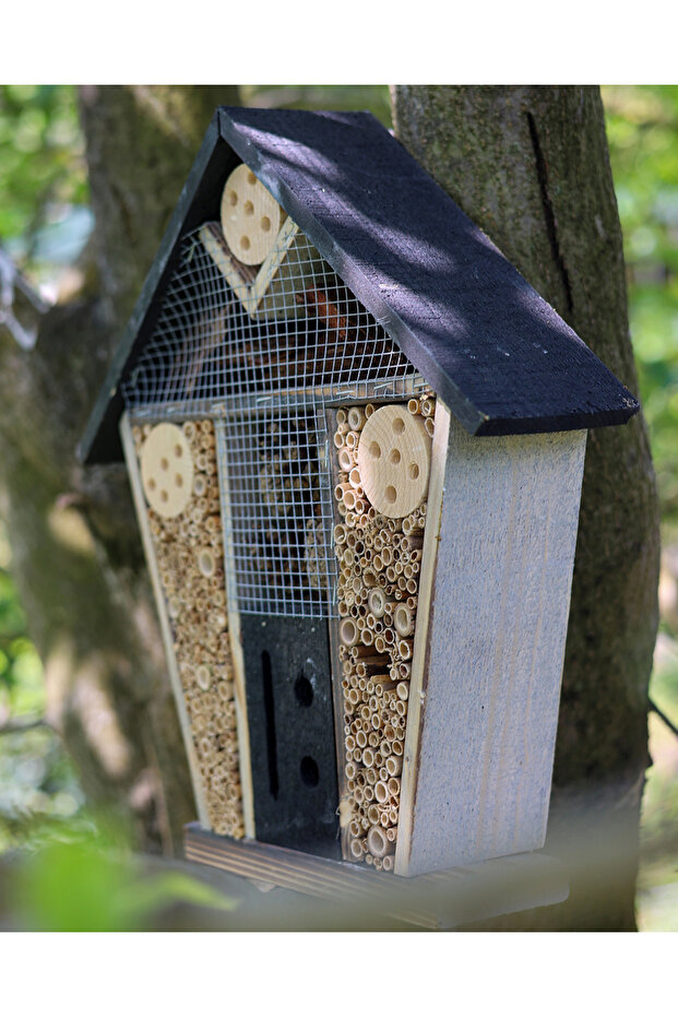 Verde Böcek Oteli - 7