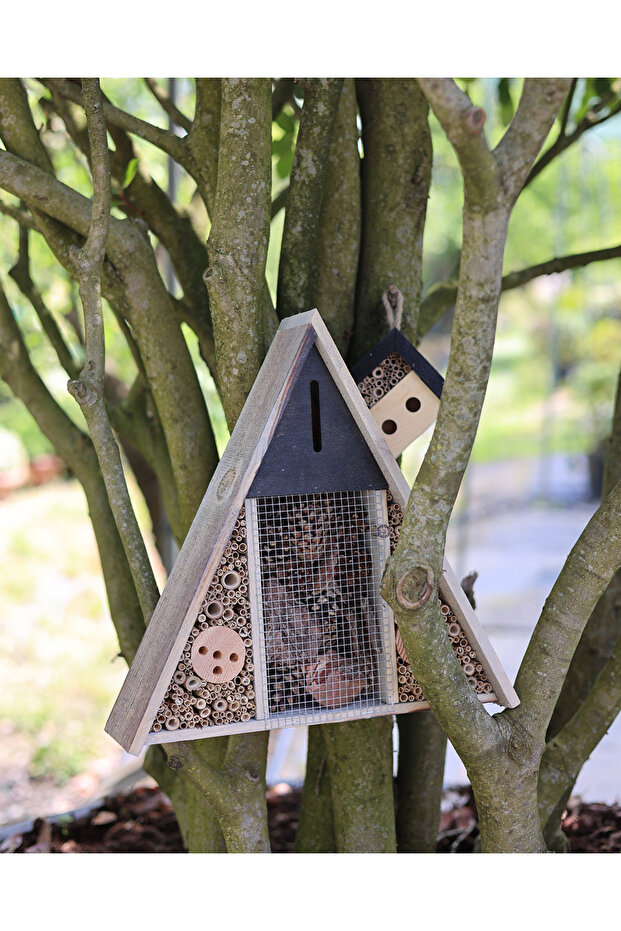 Vertex Böcek Oteli - 2