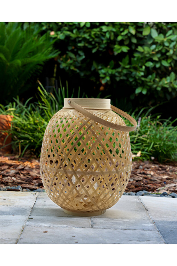 Focus Bambu Mumluk - 3