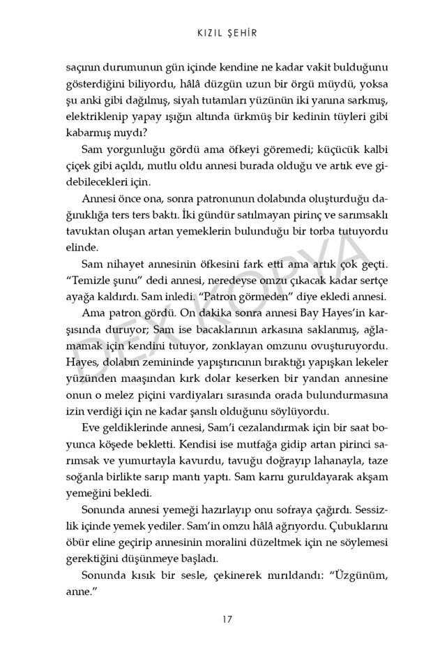 Kızıl Şehir (Ciltli) - 8