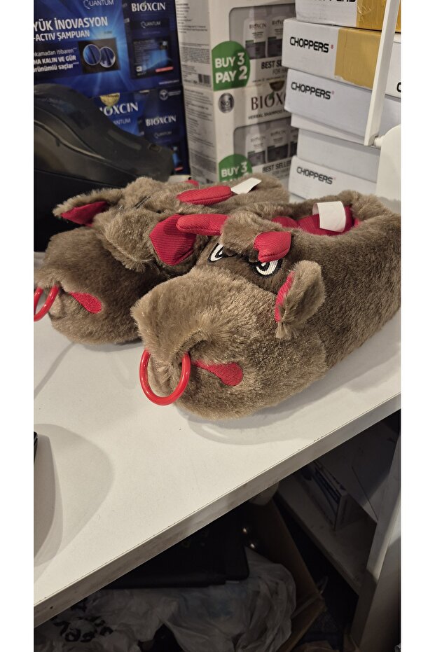 Yetişkin panduf - 2