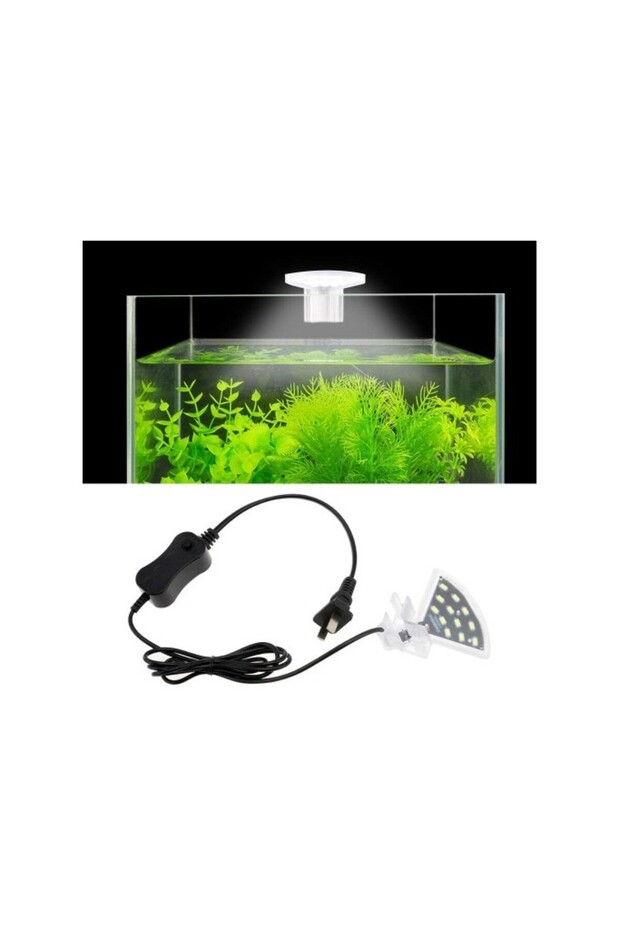 LED Top Light -White[Power - 5W]
