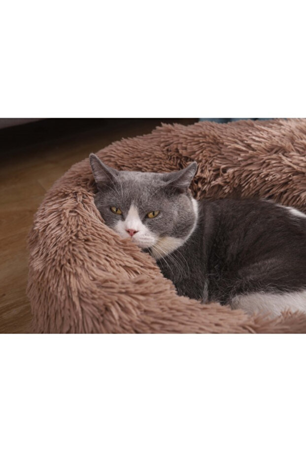 Pet Fluffy Donut Cushion - Brown[Size - Xl, Dimension - 70 X 20Cm]