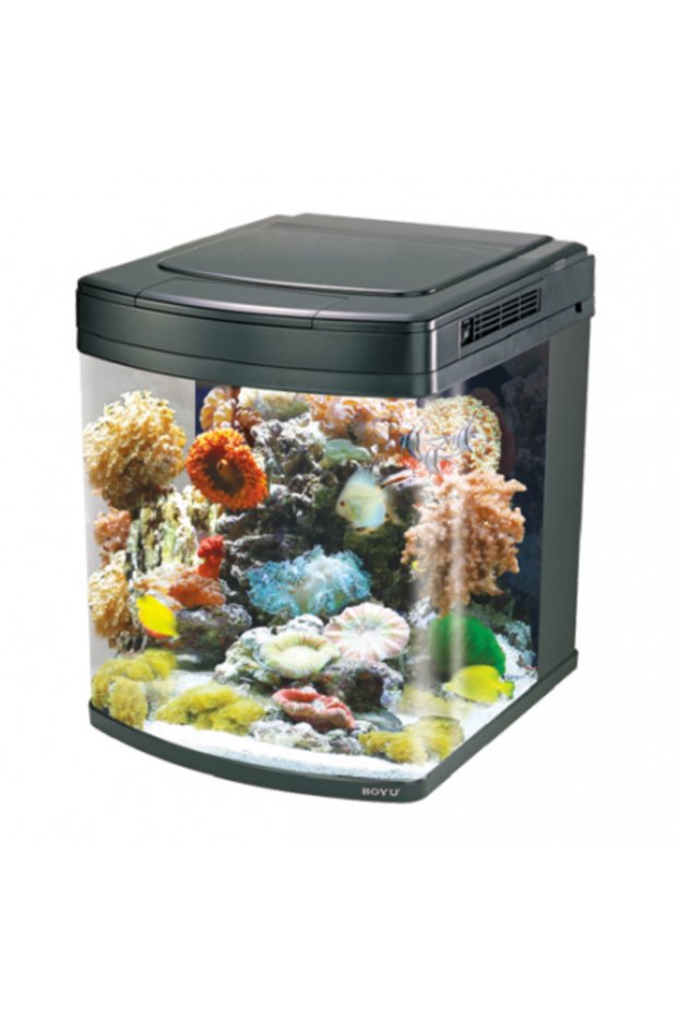 Marine Aquarium With Cabinet 520Lx580Wx630H(Mm)[Hs-62]