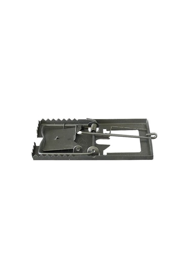 Rat trap