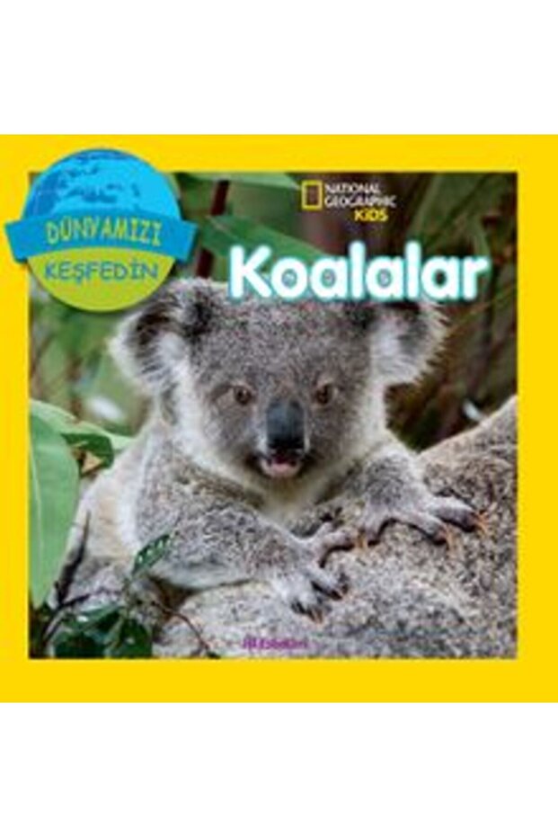 KEŞFEDİN KOALALAR