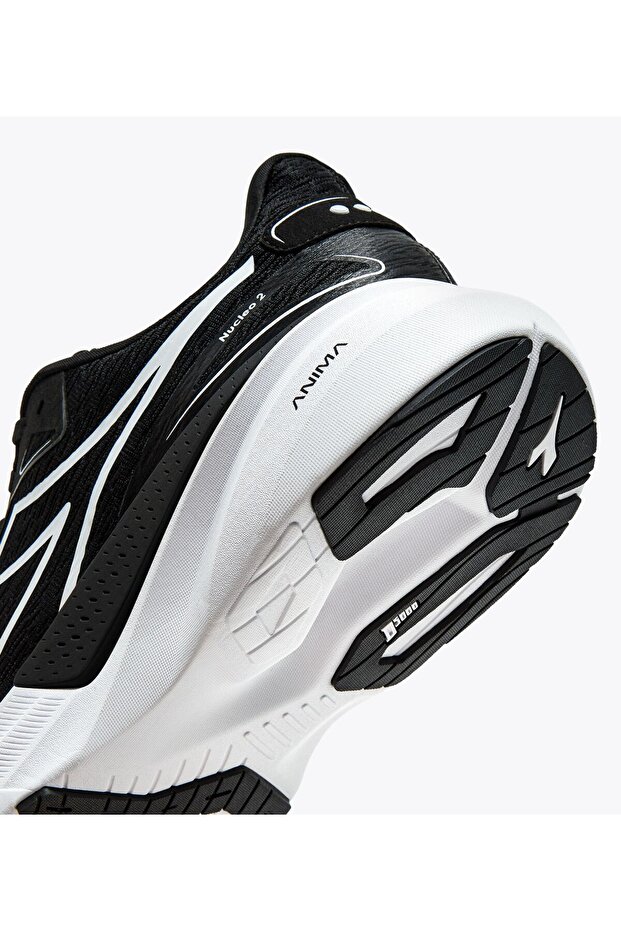 نيوكليو 2 - 4