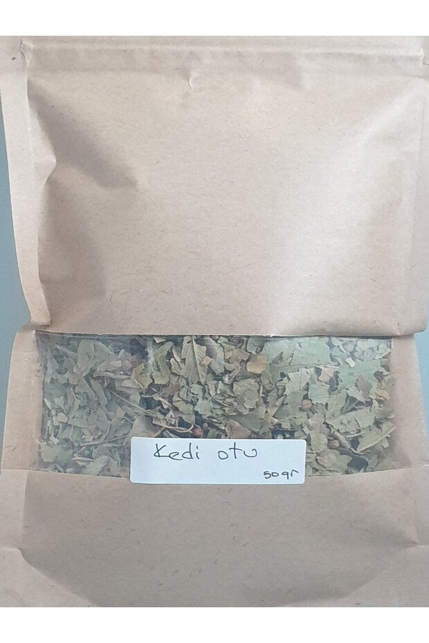 KEDİ OTU