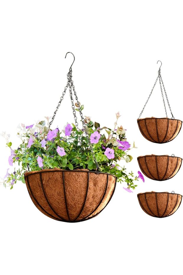 تعليقة جوز الهند حبتين - 2