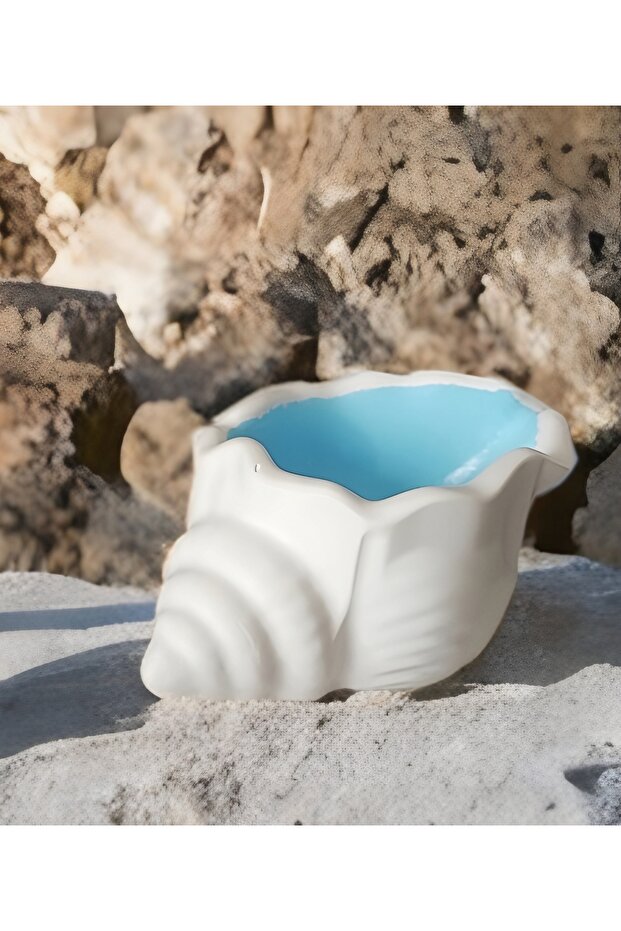 DENİZ KABUĞU TAKI TABAĞI - 1