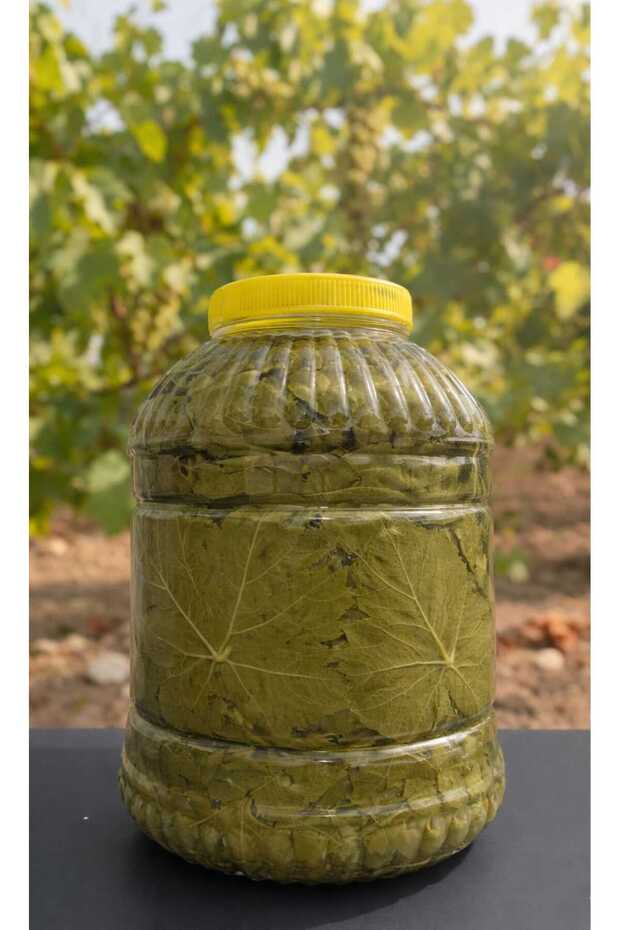 Egenin Yeşili Salamura Yaprak (yüzde yüz garantili) tokat yaprağı. 5 kg olarak gelir dolu dolu basımdir. sadece (hknstore) tarafından satılır.İNCE DAMARLI ORTA BOY SIKI BASIMDIR