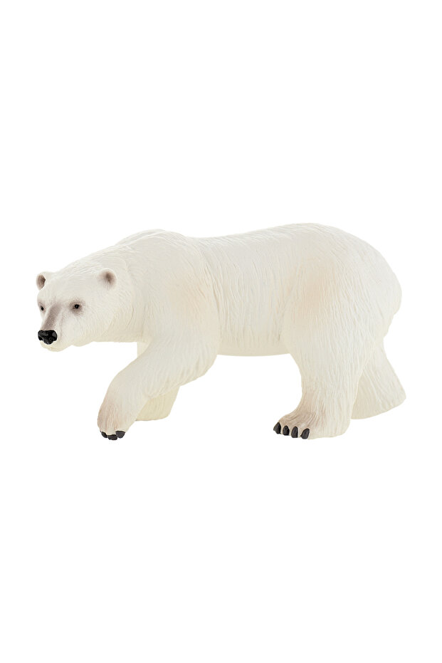 Polar bear - 1