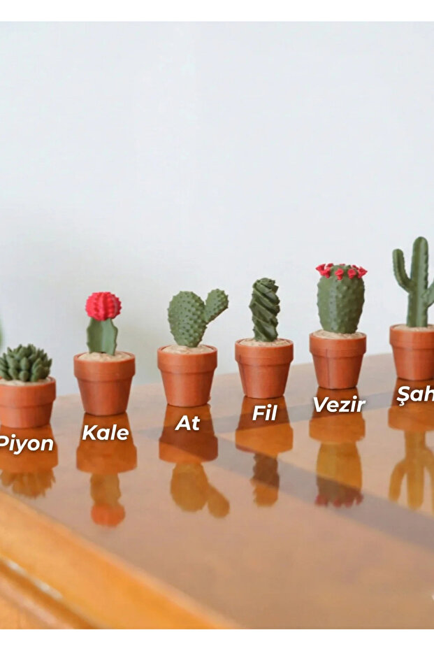 Kaktüs Satranç Seti - 4