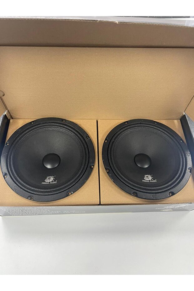 20 CM 175 RMS MİDRANGE - 3