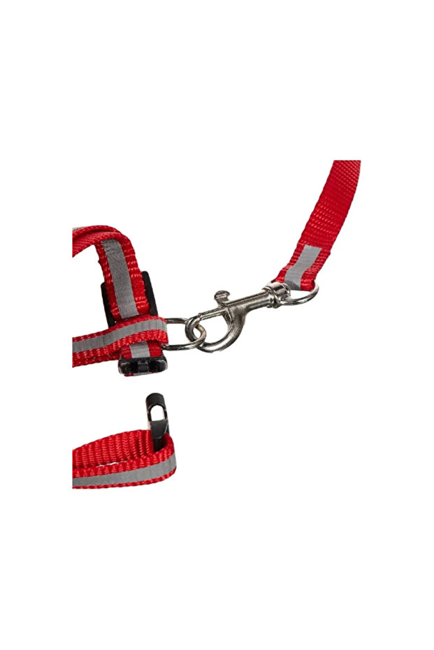 Reflective Cat Walking Collar - 2