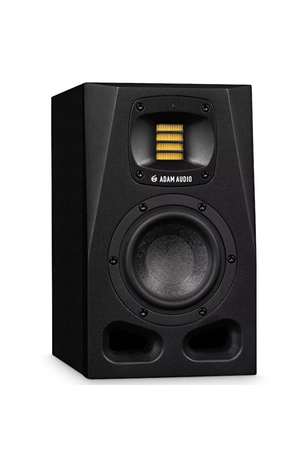 Monitor de studio A4V - 2
