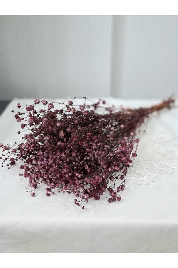 Cipso Çiçeği Bordo - 1