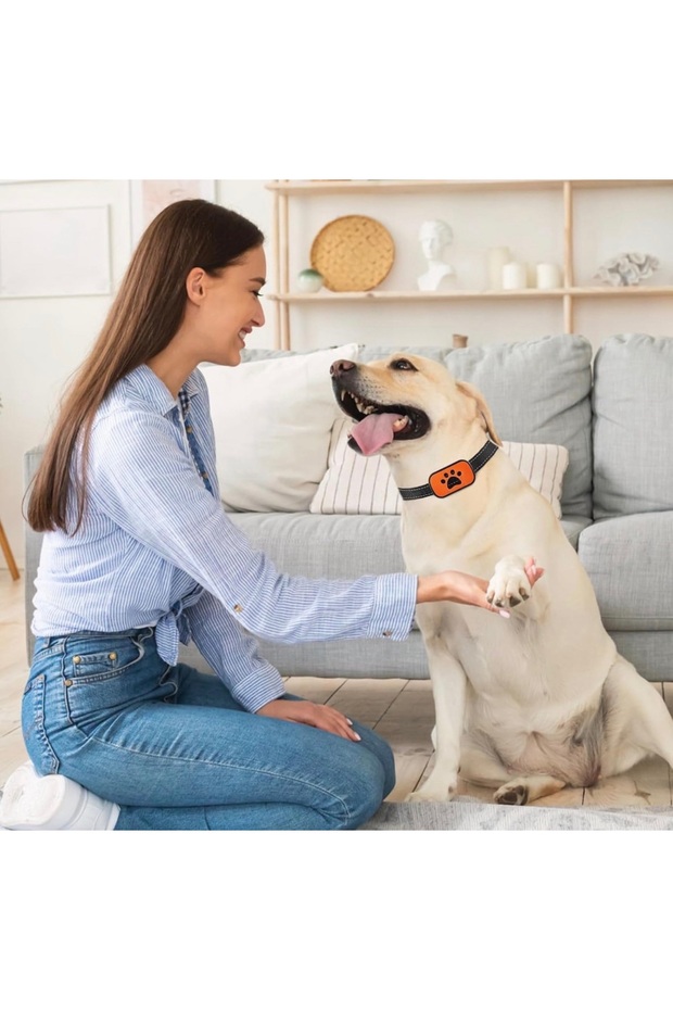 Automatic Bark Collar, Dog Protection Mode, 7 Programs, Rechargeable - 3