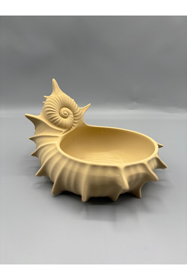 Deniz Kabuğu Takılık - 3