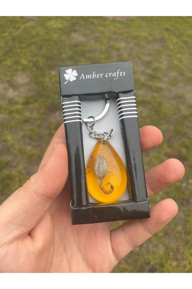 Real Scorpion Fossil Keychain | Inside Transparent Resin | Collectible Item