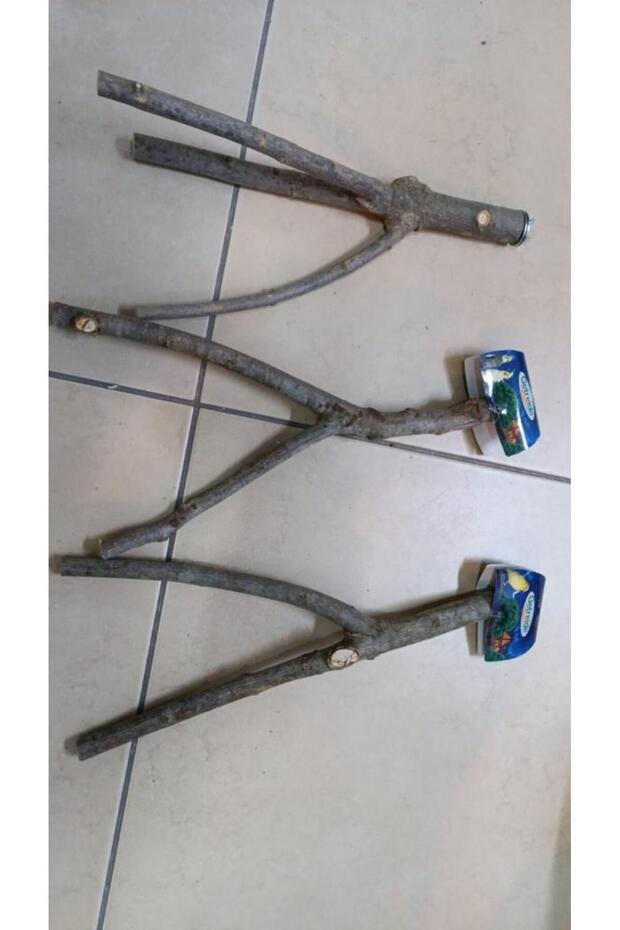 Doğal Ahşap Dal Tünek 37 cm - 1